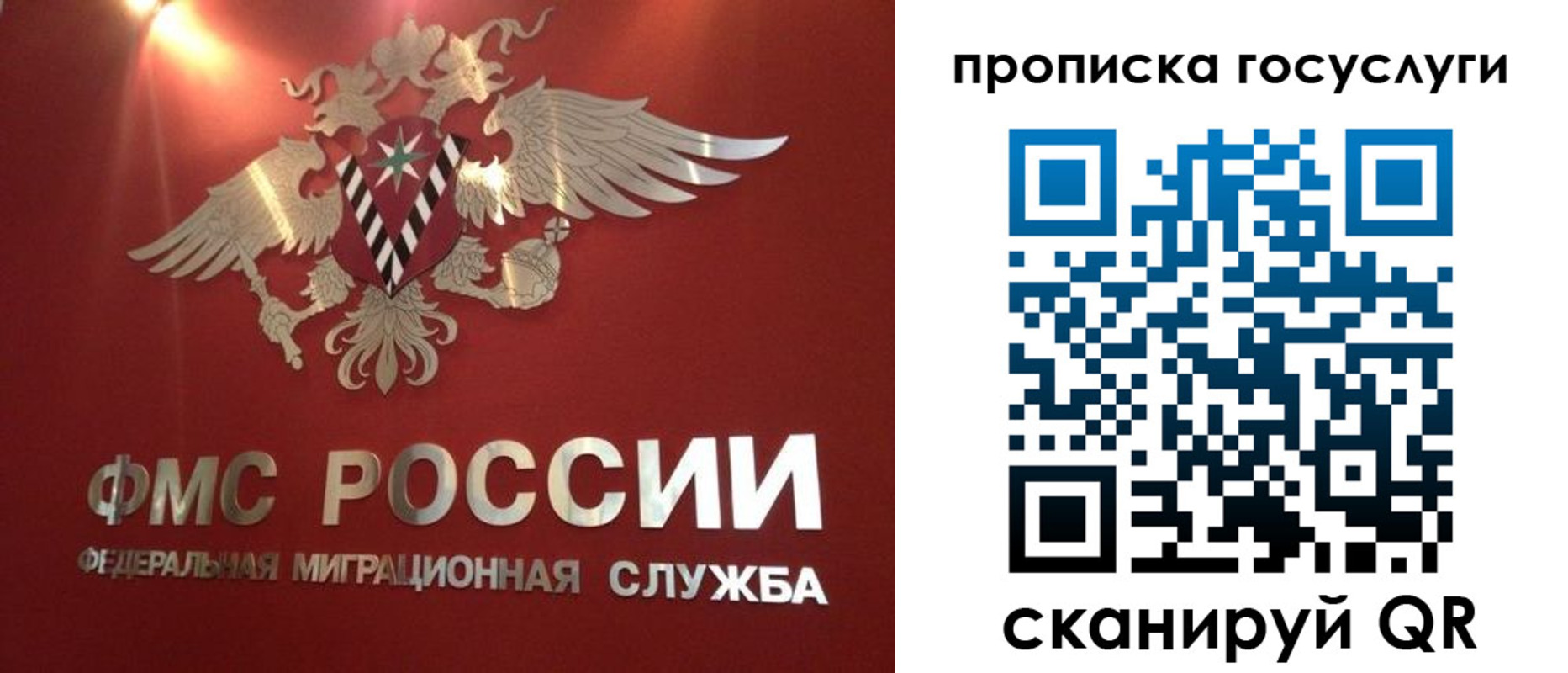 временная регистрация для всех в Брянской области